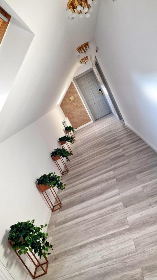 Bed and Breakfast Colt De Rai Resita Exterior foto